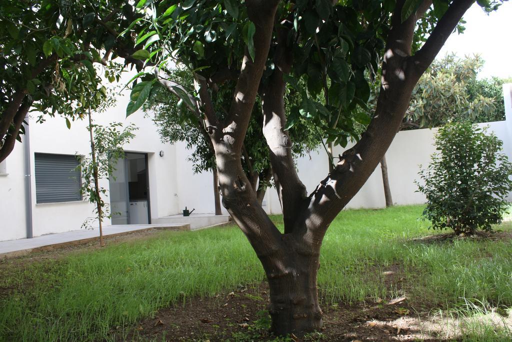 Residencia Mayol - Adults Only Palma de Mallorca Værelse billede